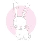 Pink Bunny