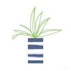 Striped Pot II