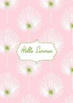 Hello Summer