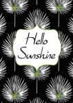 Hello Sunshine