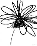 Black Ink Flower III