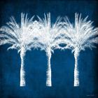 Indigo and White Palm Trees