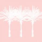 White and Pink Palm Trees
