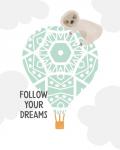 Follow Your Dreams