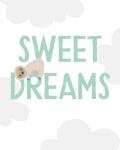 Sweet Dreams Sloth