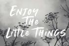 Enjoy the Little Things