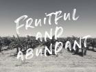 Fruitful and Abundant
