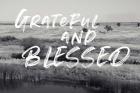 Grateful and Blessed
