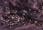 Purple Minerals