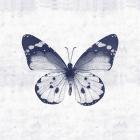 Blue Butterfly I