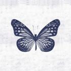 Blue Butterfly II