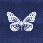 White Butterfly II