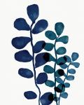 Indigo Eucalyptus I