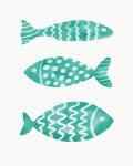Three Aqua Fish on White