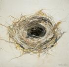 Bird's Nest