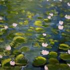 Lily Pads II