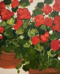 Red Geraniums