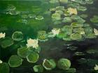 Lily Pads