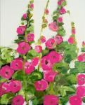 Hollyhocks