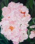 Pink Peony