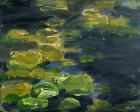 Lilypad Pond