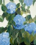 Blue Hydrangeas IV