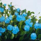 Blue Hydrangeas III