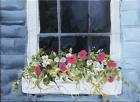 Window Box I