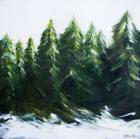 Evergreens