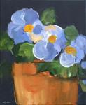 Pansies