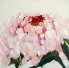 Peony