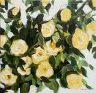 Yellow Roses