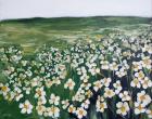 Chamomile Field