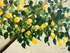 Lemon Tree