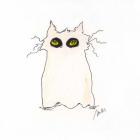 Ghost Cat