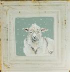 White Sheep