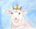 Queen Sheep