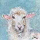 Mimi the Sheep