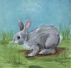 Gray Bunny