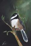 Chickadee