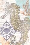 Sea Horse