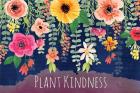 Plant Kindness