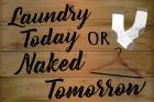 Laundry Today or Naked Tomorrow