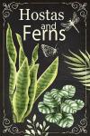Hostas and Ferns