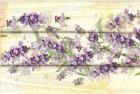 Floral Lavender III