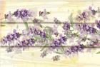 Floral Lavender III