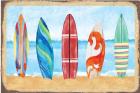 Surf Boards