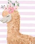 Llama