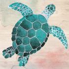 Sea Turtle