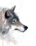 Wolf III